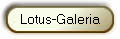 Lotus-Galeria