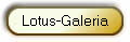 Lotus-Galeria