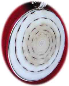 Collier Shivas Auge